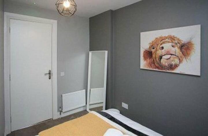 Amazing 3 Bedroom Home, Prime Bt1 Postcode And City Centre Location Belfast Exterior foto